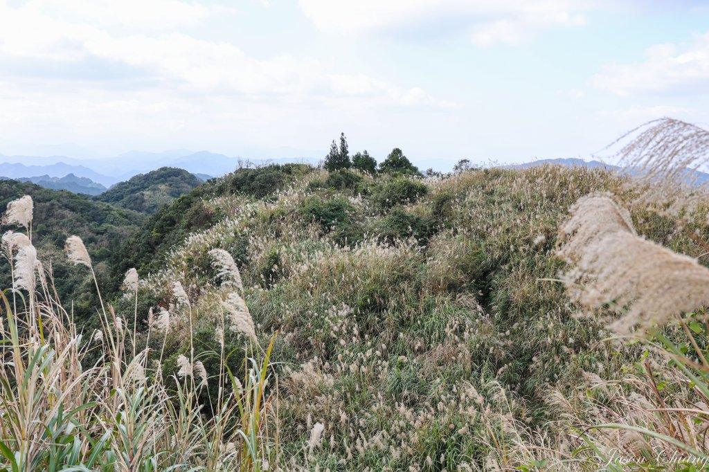 [台北天際線]姜子寮絕壁、姜子寮山、旗尾崙山_1966533