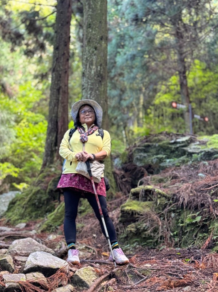 觀霧-榛山步道_2926004