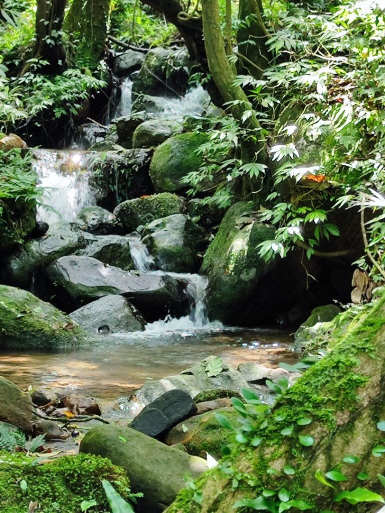 淡蘭北2+1逆走二刷_2772767