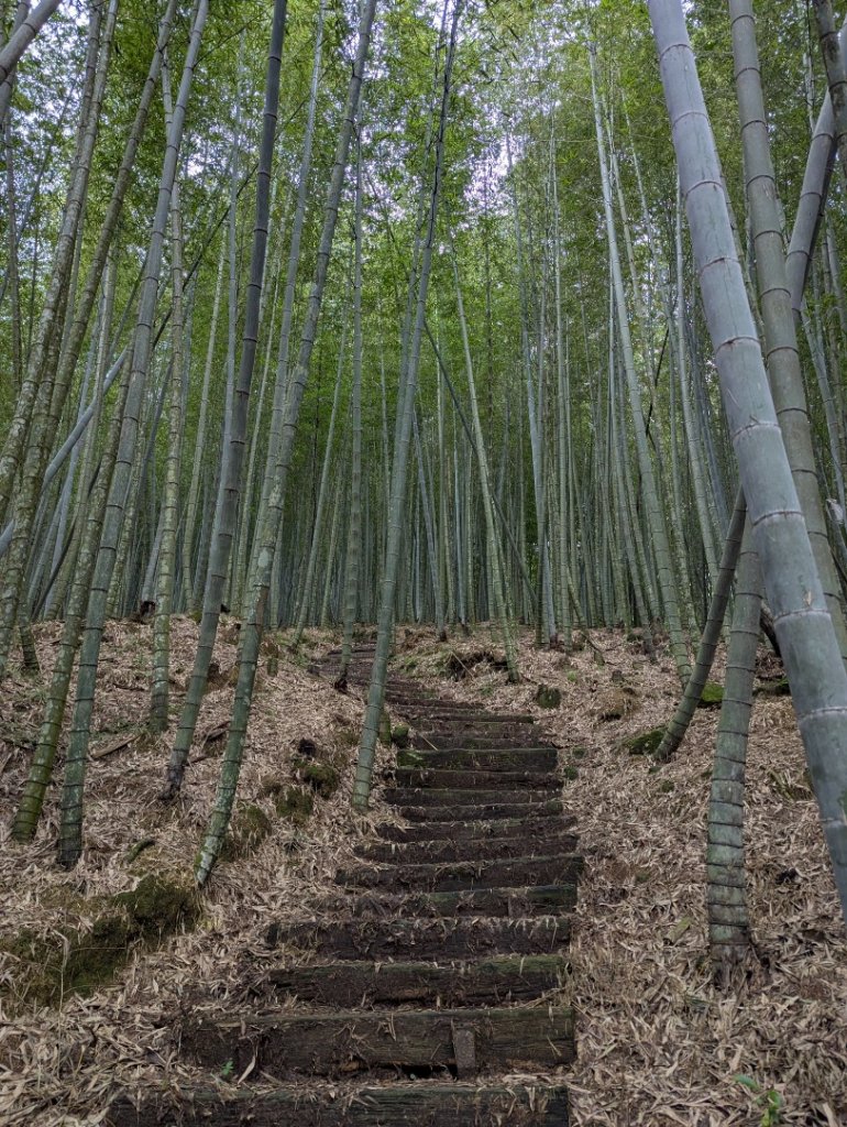 石壁山_2025-09-20封面圖