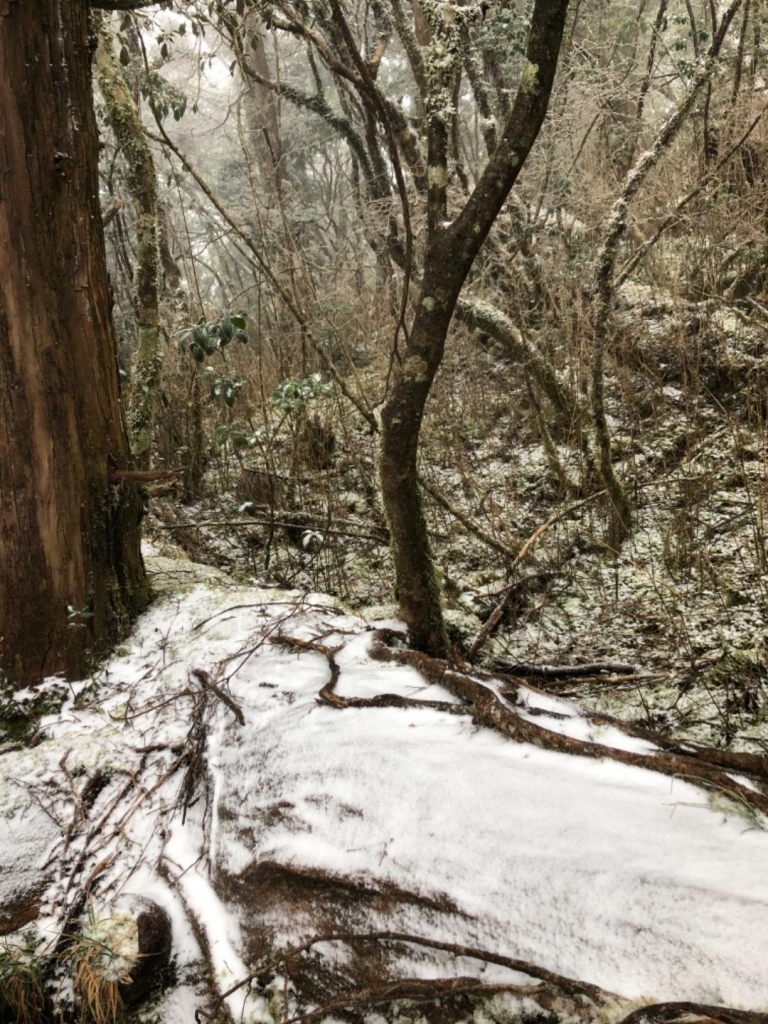 20180203冷氣團來襲登巴博庫魯山_262467