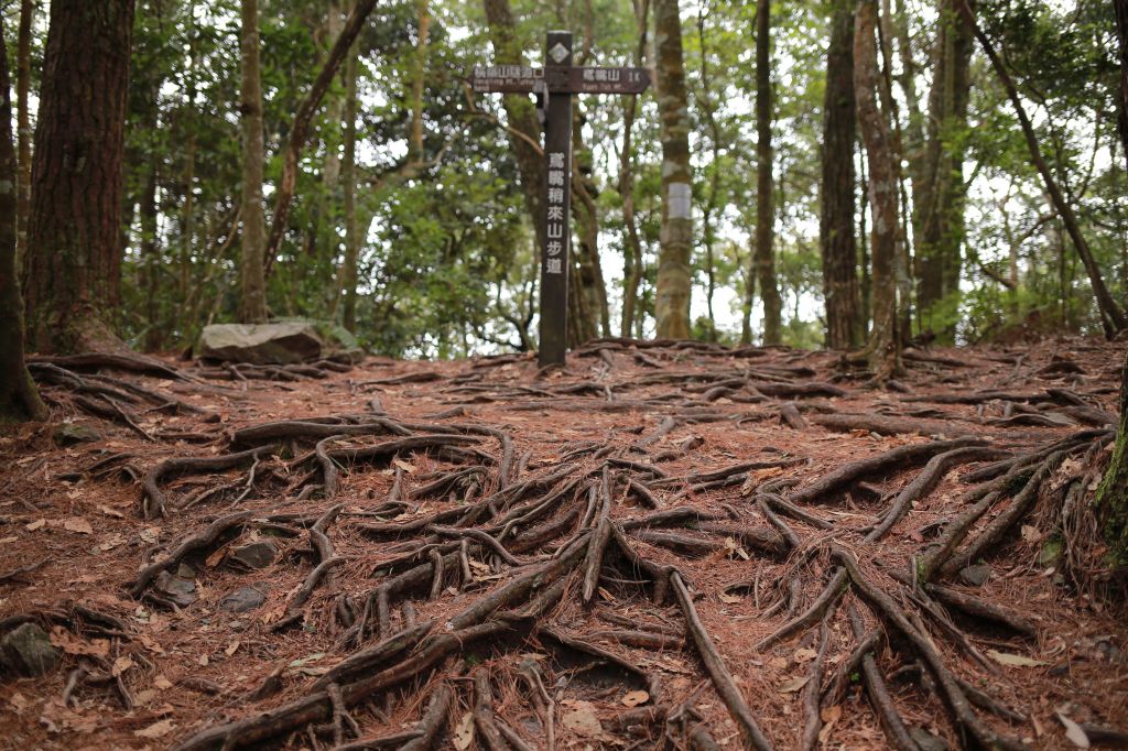 橫嶺山：連走沙連山_281307