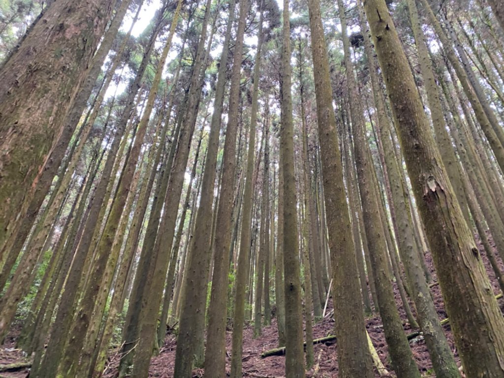 20200320大崠山、肥崠山封面圖