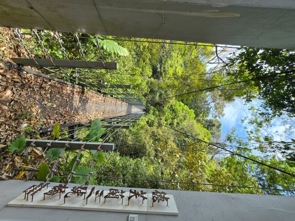 谷關松鶴橋對面的德芙蘭生態步道順登東卯山西南峰_2748302