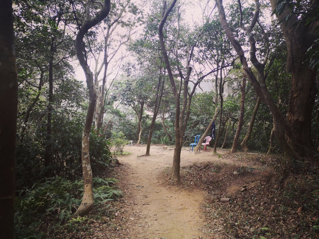 我從福人步道走去大北坑吃好料_818688