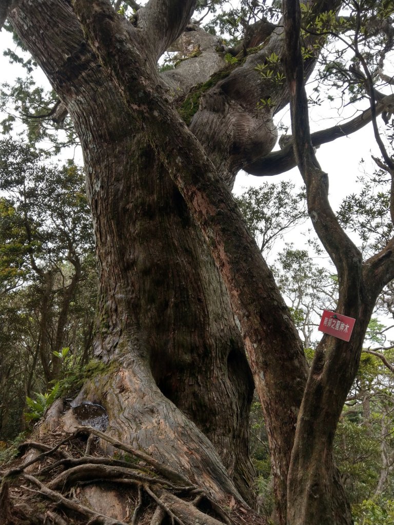 2018.05.20 南插天山_1005424