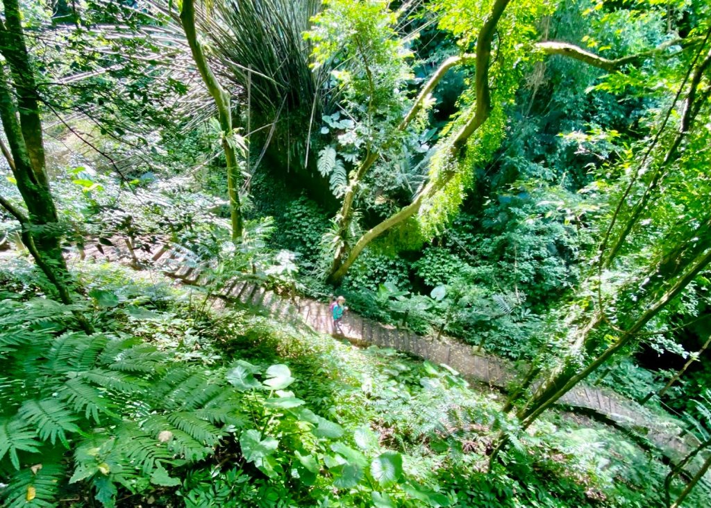 獅頭山(小百岳#29) 縱走水簾洞封面圖