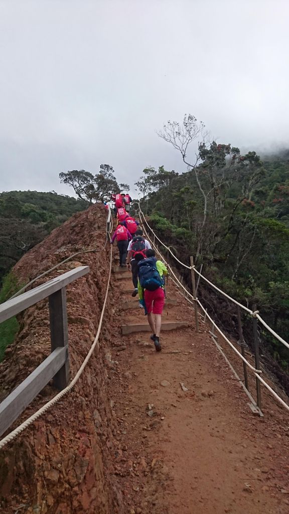 馬來西亞京那巴魯山(沙巴神山)_141911
