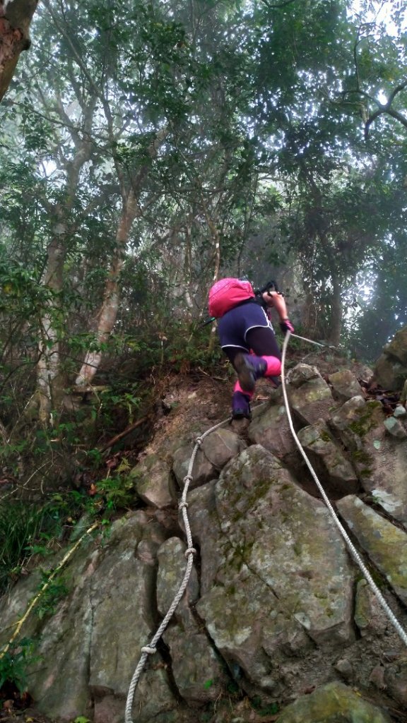 小百岳【三腳南山】_915741