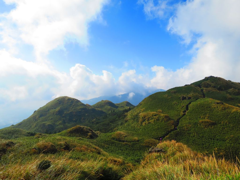 芒花如雪  漫遊草山_223100