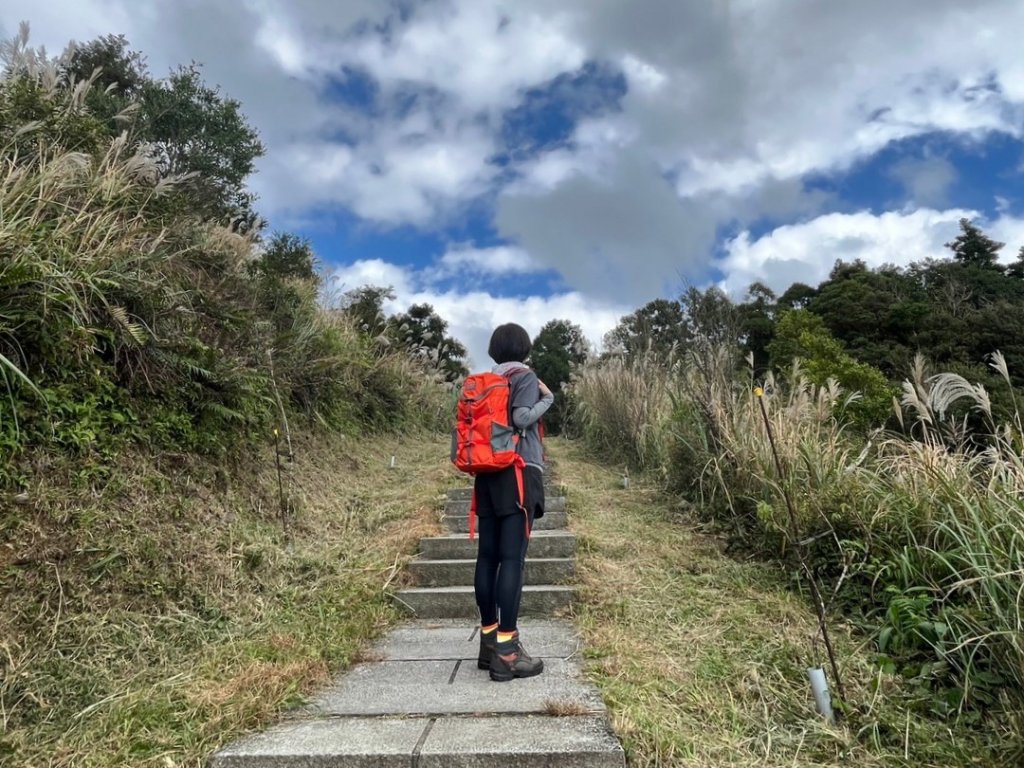 愛在秋芒紛飛時...五分山_2353641