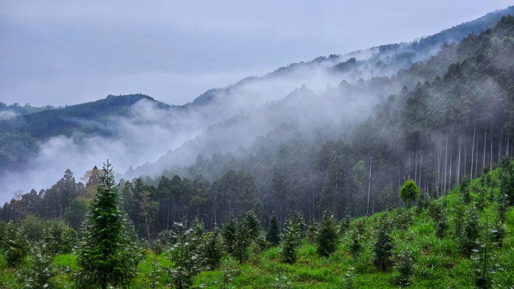 112.04.08 油羅山_2123544