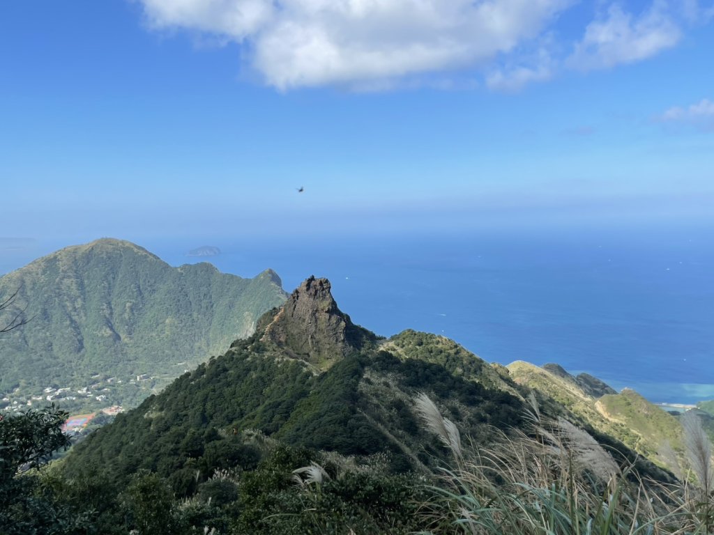 【金瓜石】漫山芒花怒放浪漫，礦山藍海奇景夢幻！_2964351