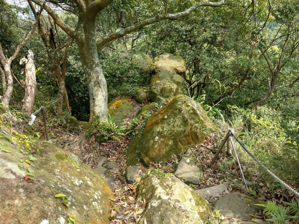 新店小獅山訪11座涼亭縱走待老坑山尋山頭_902128