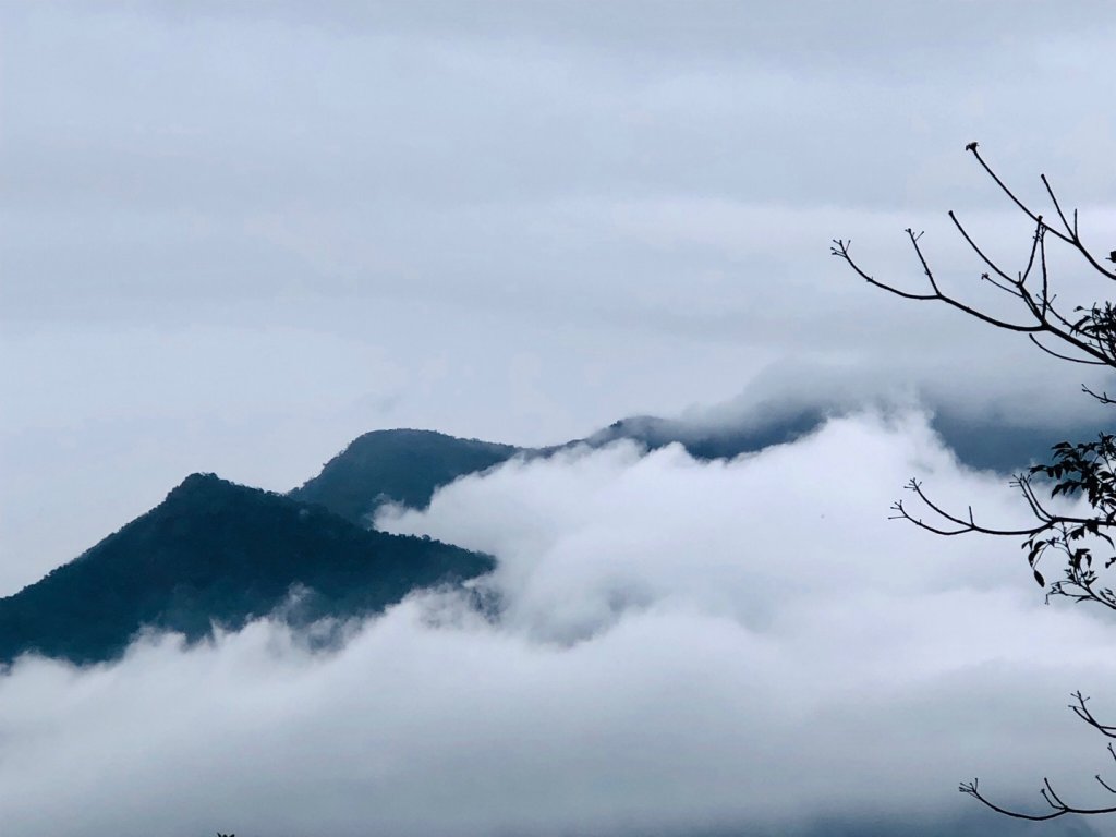 鱈葉根山封面圖