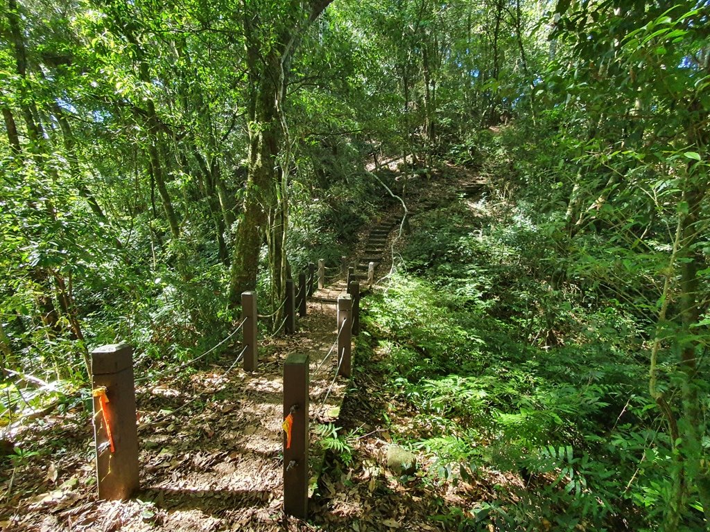 草嶺風情(石壁山,連心池,萬年峽谷)_1487150