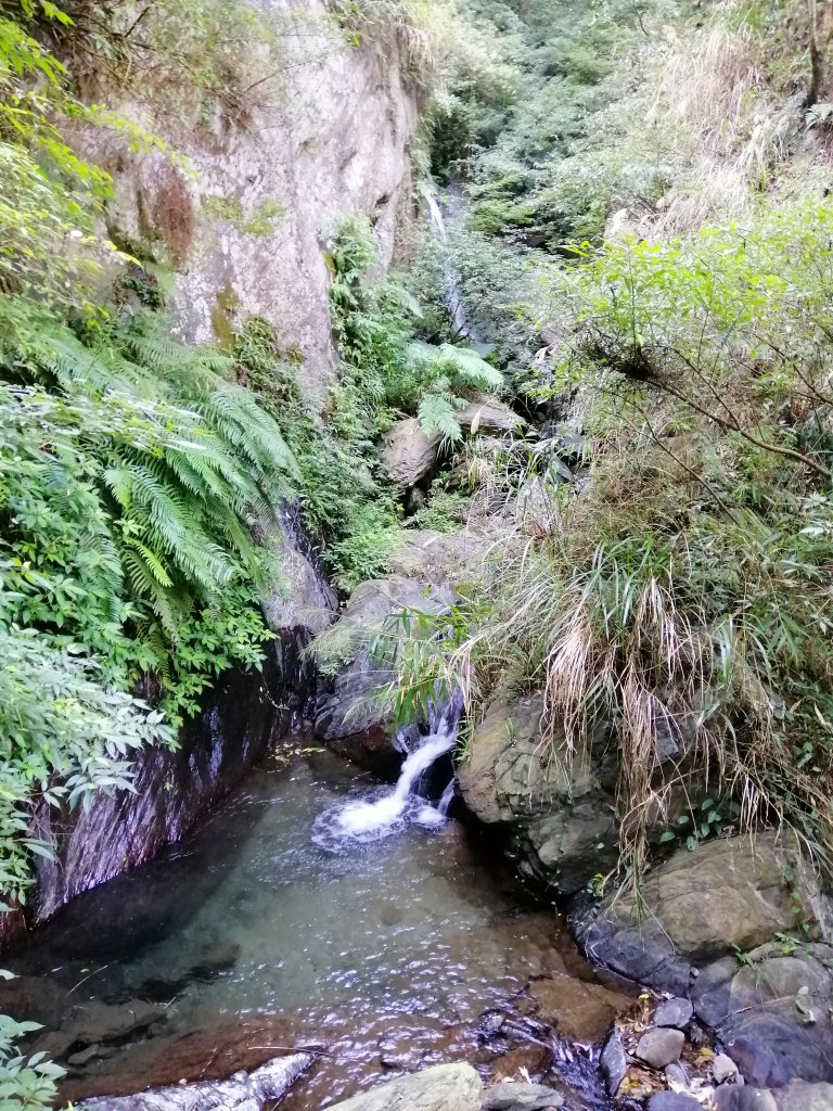 【南投。埔里】娟秀的銀白流瀑。 觀音瀑布_872433