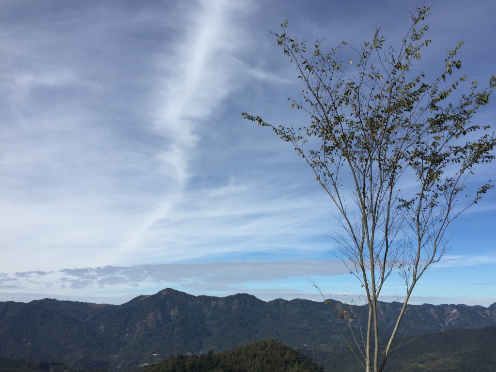 ［南投］貓囒山步道_97381