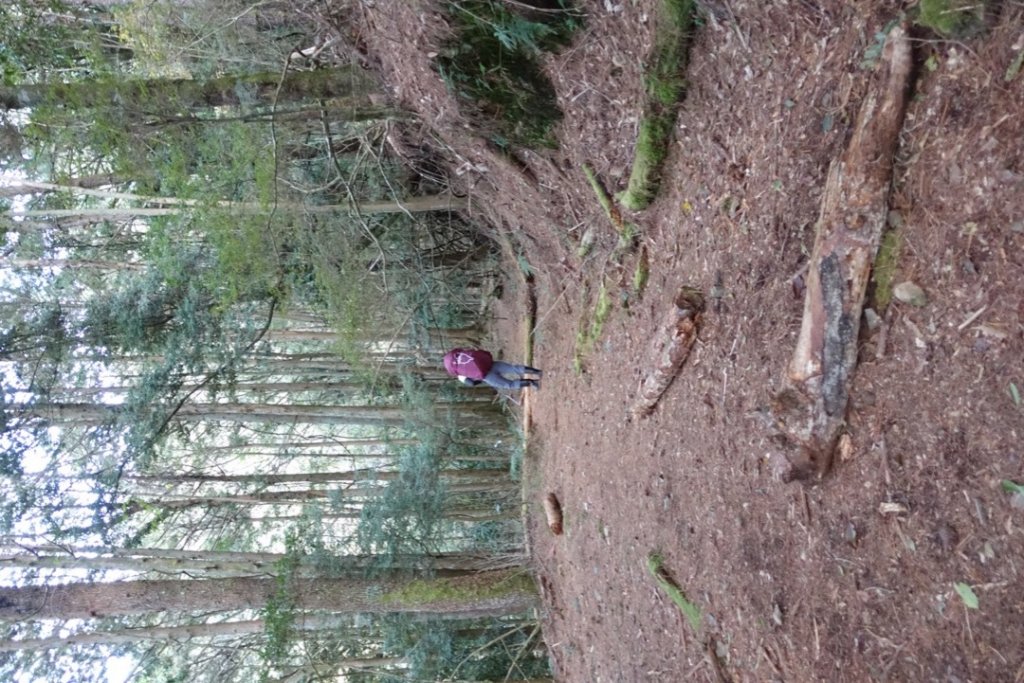 探訪消失的白雪村+北霞山東水兒玉山O型縱走_1991196