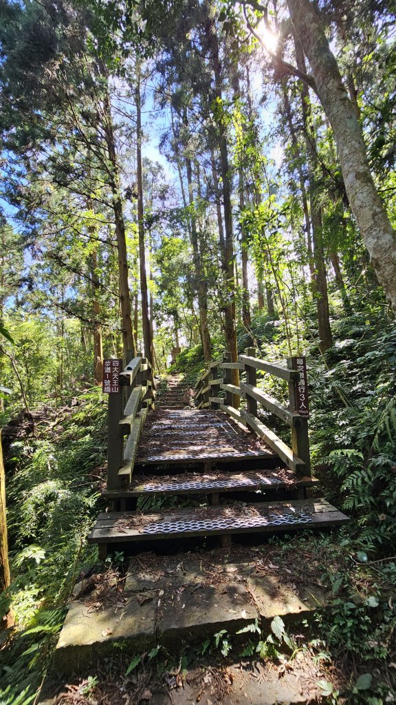 【四大天王山O型縱走未竟之旅：封山中的靜謐與省思】解鎖嘉義竹崎四大天王山、知鳥山。_2929914