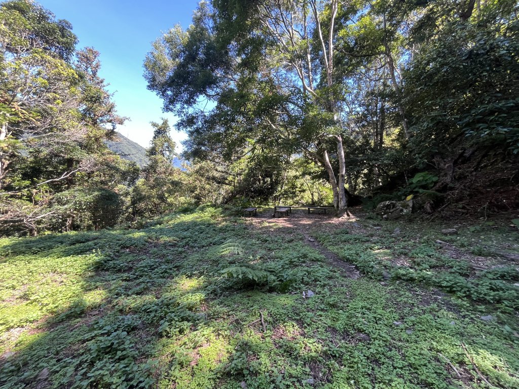 [玉山尋寶任務-03/12] 2025_0810 瓦拉米步道_2857640