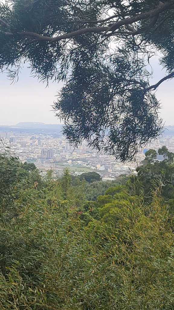 2025-0208聚興山小百岳_2710861