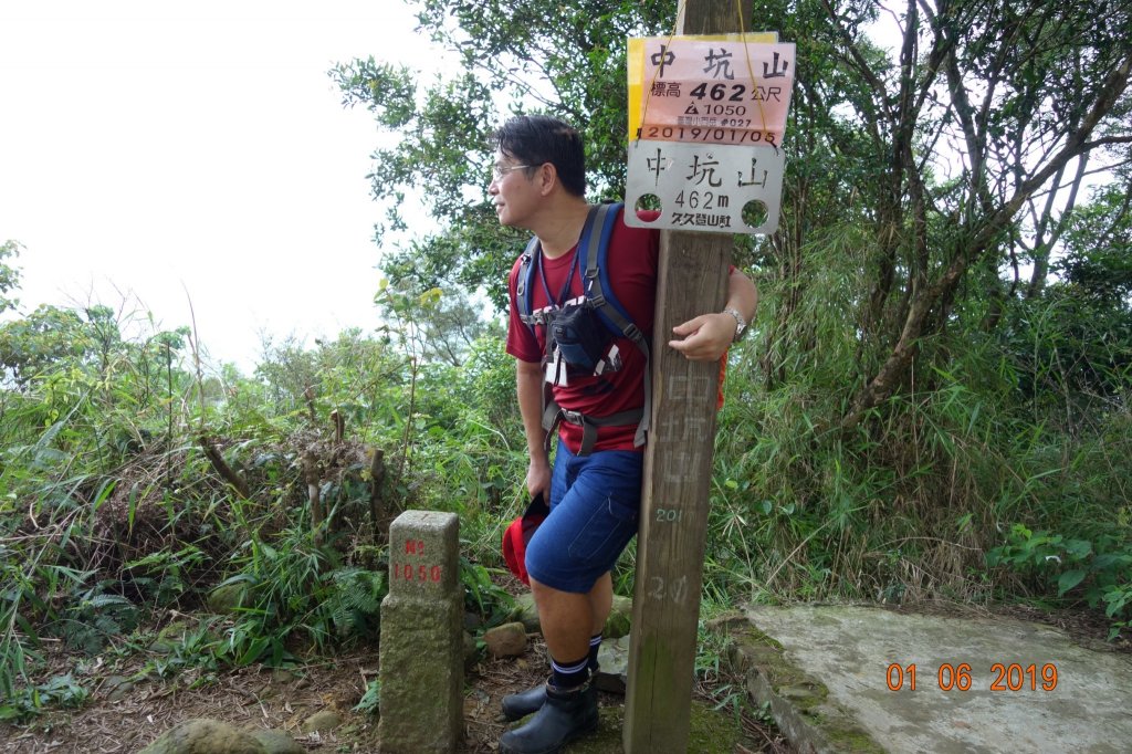 20190601_飛鳳山中坑山_835943