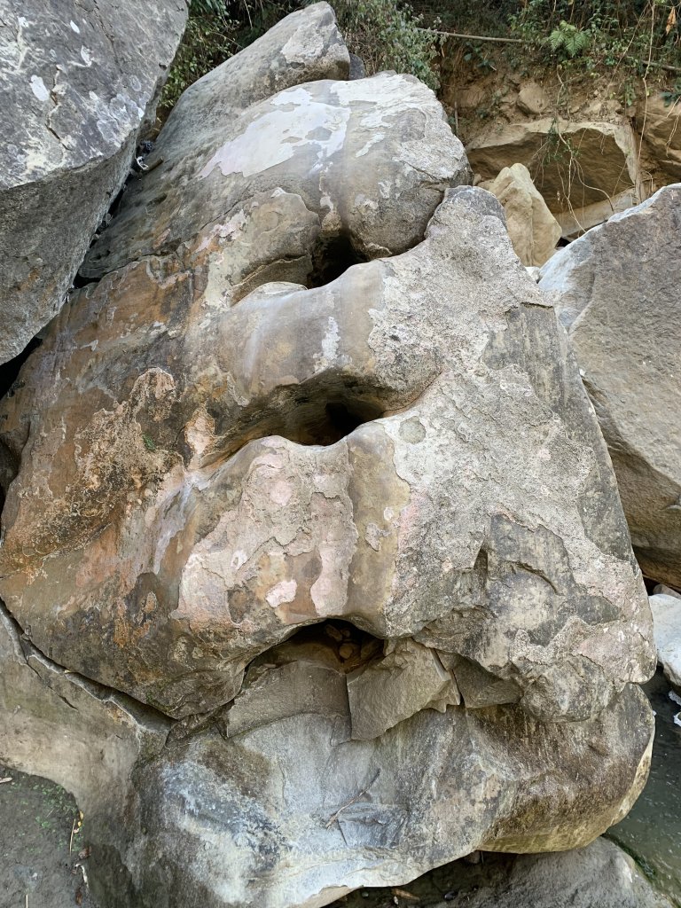 20260117台南阿拉溪斜瀑群縱走糖子恩山-水山頂山_2985092