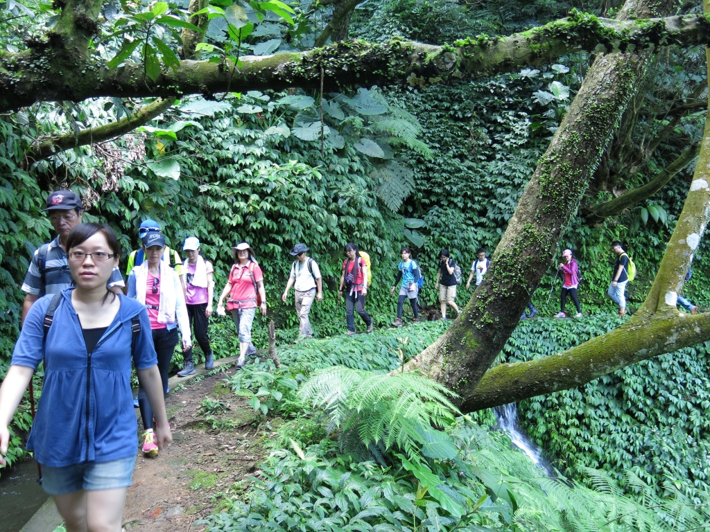 始祖鳥X健行筆記坪頂古圳半日健行活動_50805