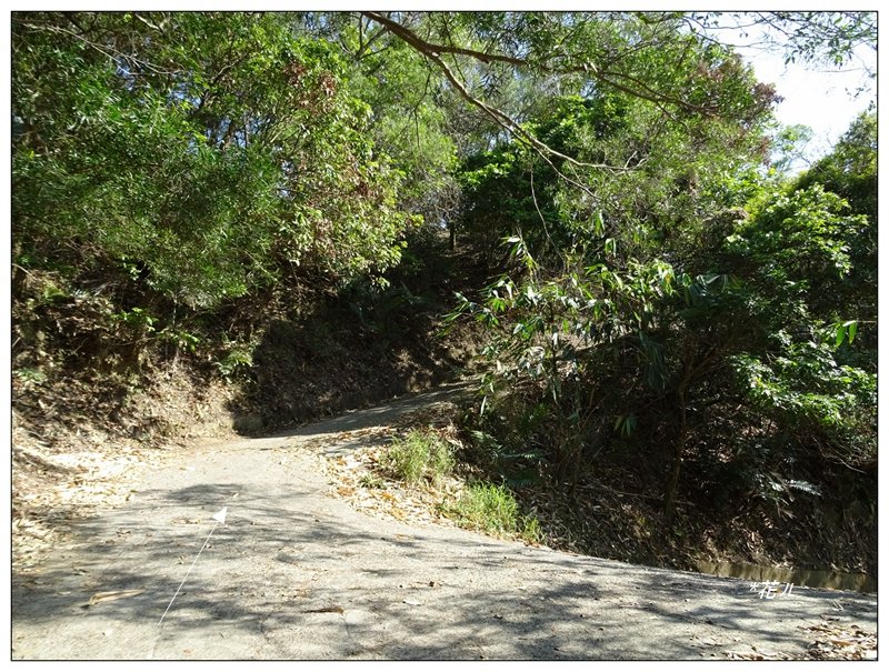 大坑風動石步道_1275456