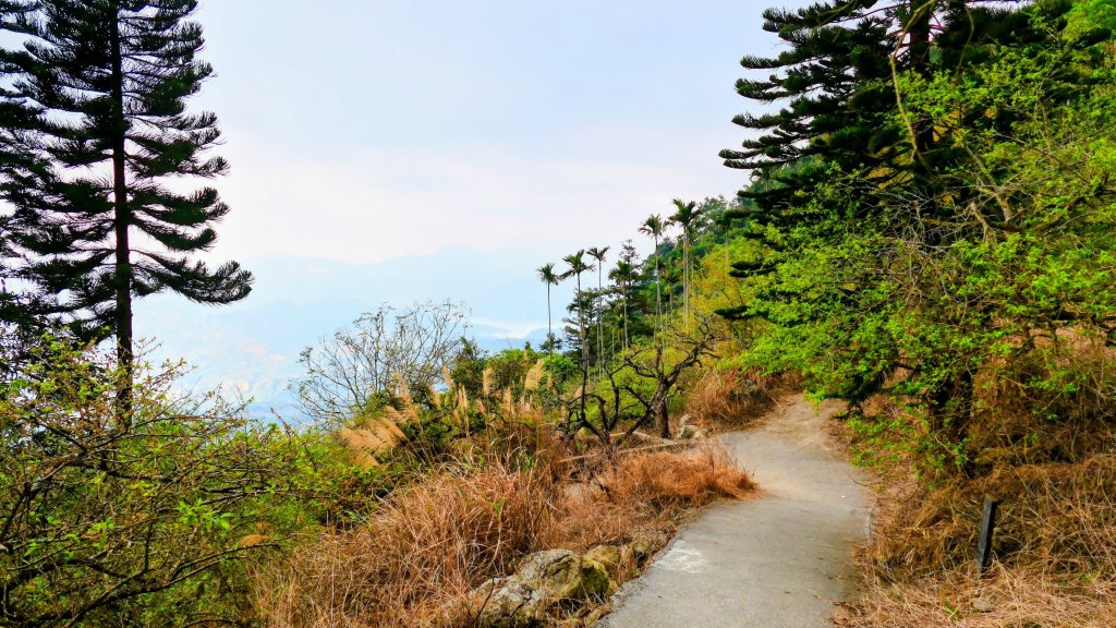 梅嶺竹子尖山封面圖