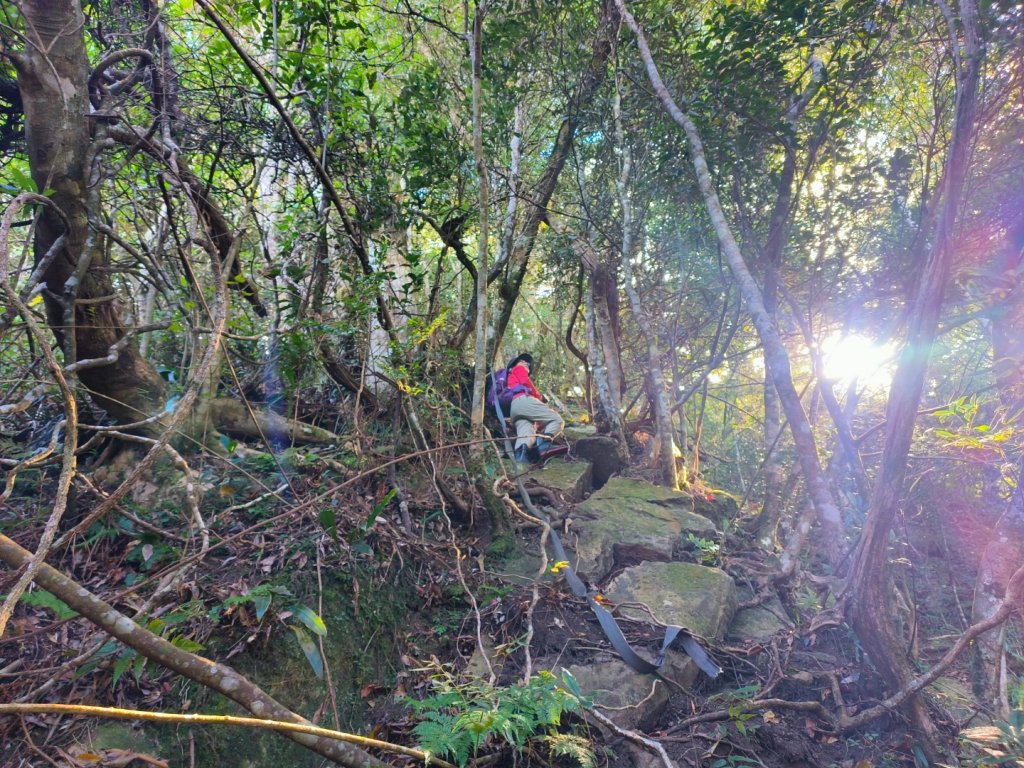 1121125 鳥嘴山縱走貴妃山_2363962