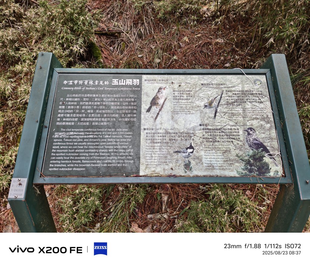 [玉山尋寶任務-04/12] 2025_0823 玉山前峰登山山徑_2869475