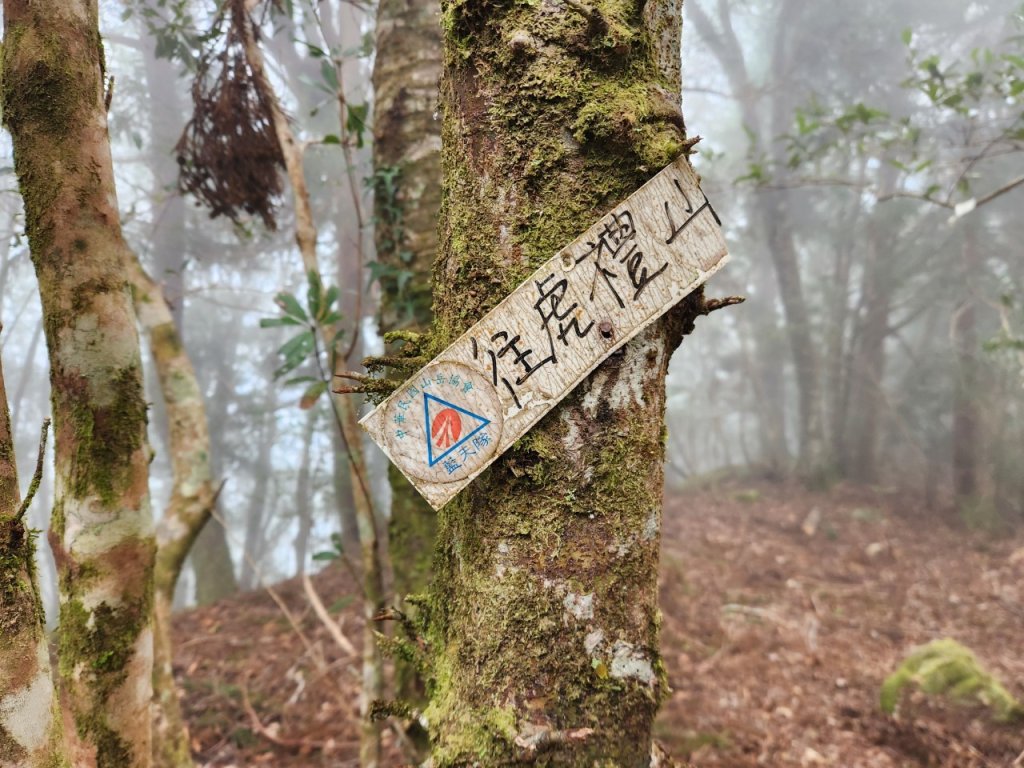 【中級山】芝生毛台山，芝生毛台山西峰，秀巒軍艦岩，屯野生步道，屯野生砲台_2745115