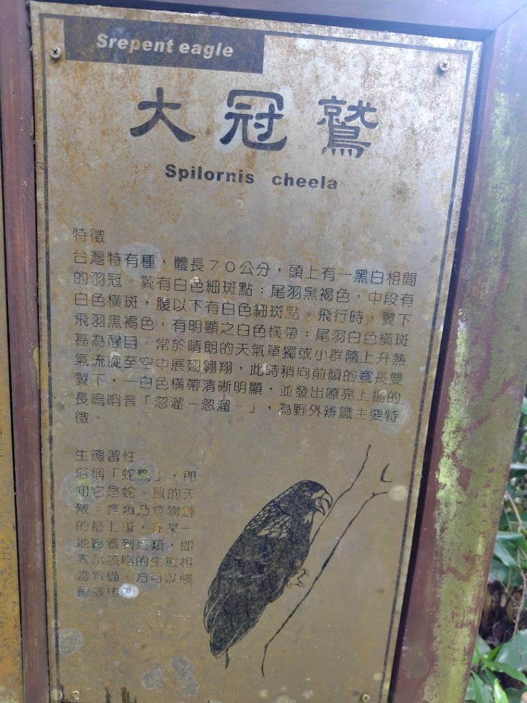鳳鳴古道 鳳鳴山 南隘勇（南長城）古道 三湖山 八達嶺（龍骨）古道 綠色古道 延平古道_2975225