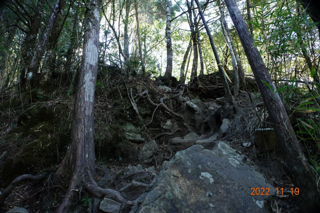 南投 信義 西巒大山_1922329