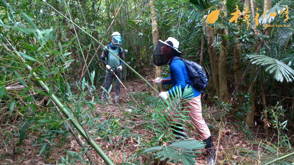 樟之細路 | 08/24砍草任務_658050