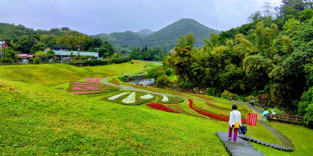 【台北內湖】走鯉魚山步道 賞碧山巖櫻花隧道_1735282