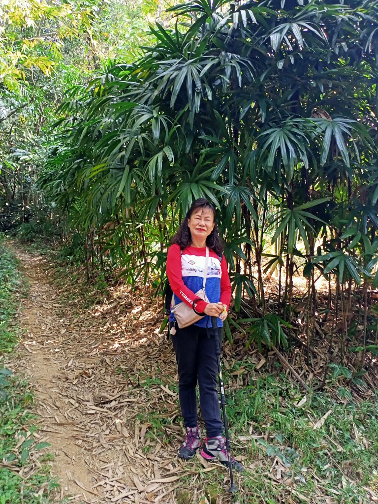 象獅豹虎-四獸山探秘之象山秘境（2-1 捷運象山站→無極瑤池宮）_2065524