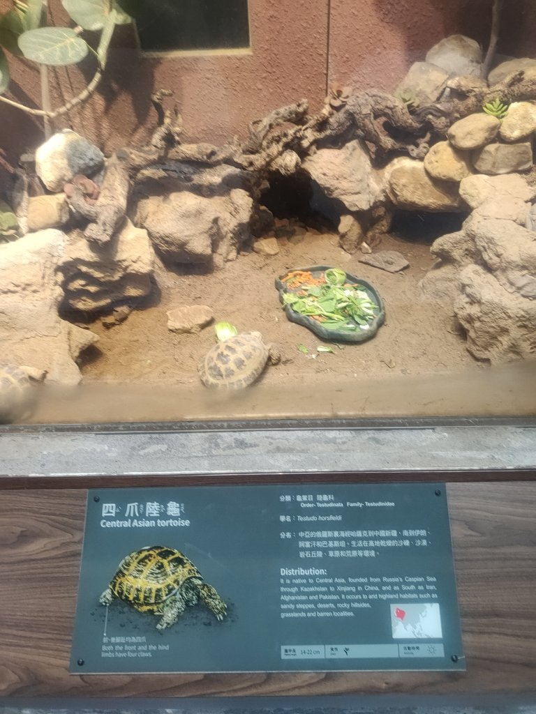 台北動物園_2663986