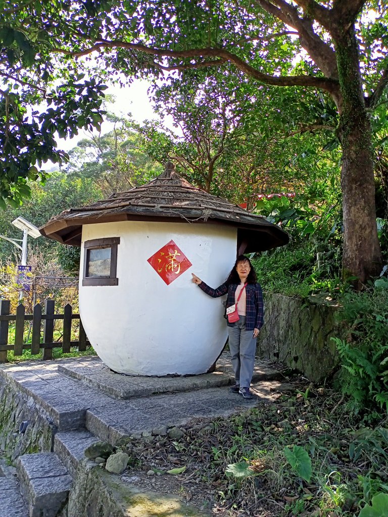 【臺北大縱走 7】貓空站→樟樹、飛龍步道_1254293