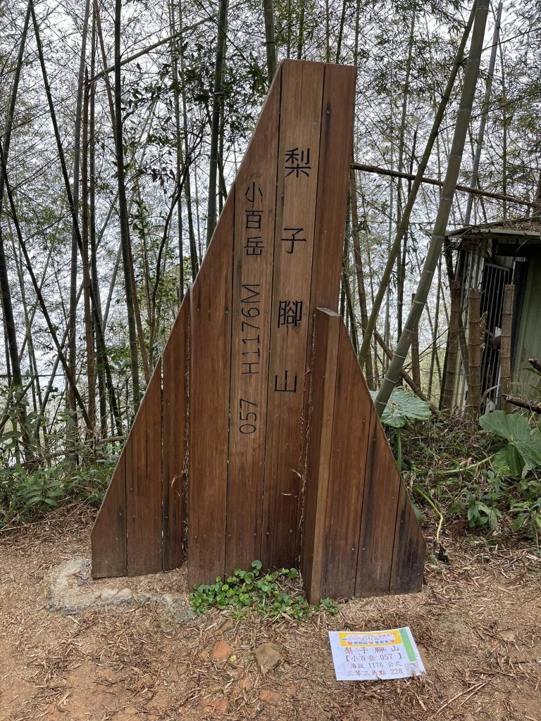 雲嘉五連峰健行_2679889