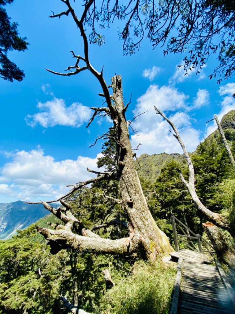 玉山群峰前五峰後四峰_2609976