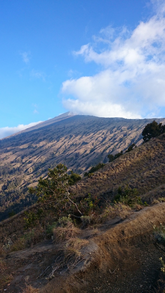 Mt Rinjani_323