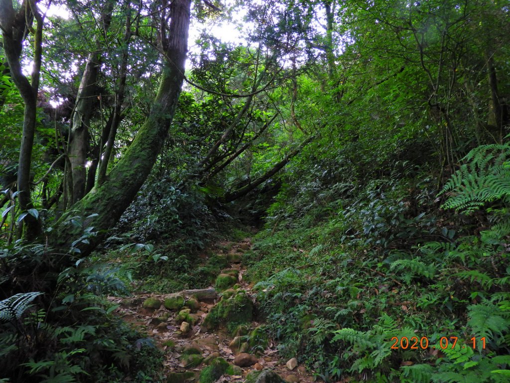 臺北 士林 磺嘴山_1029117