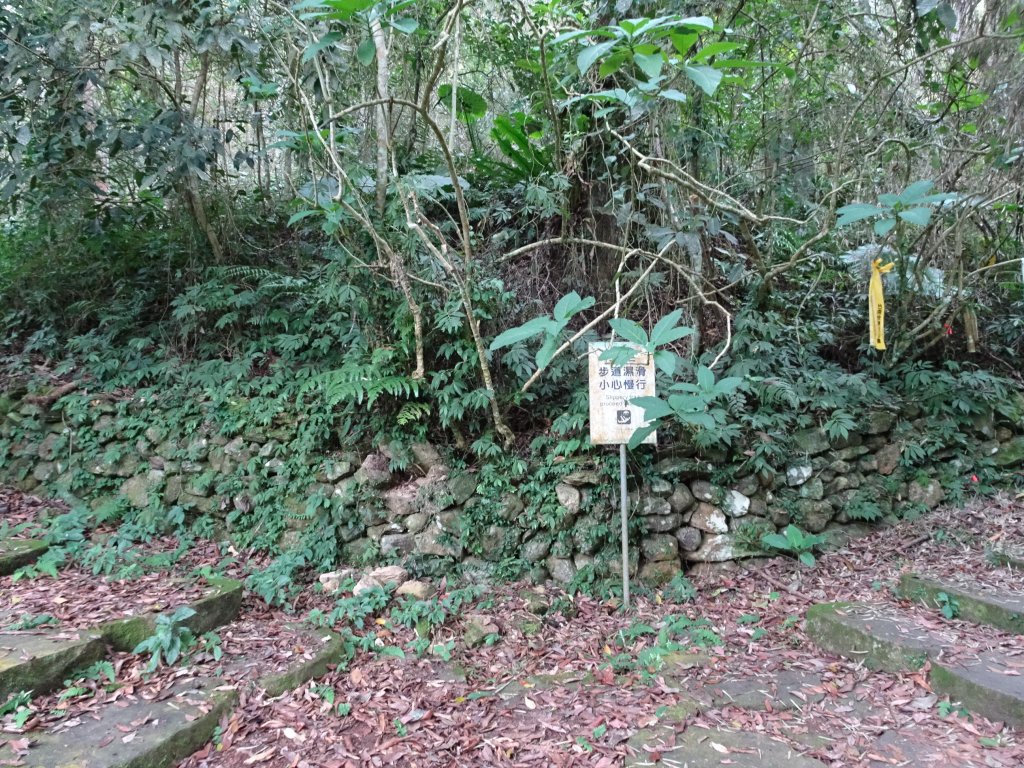 2022年02月13日(彰山協)南投日月潭四兄妹之中級山~大尖山縱走水社大山_1613496