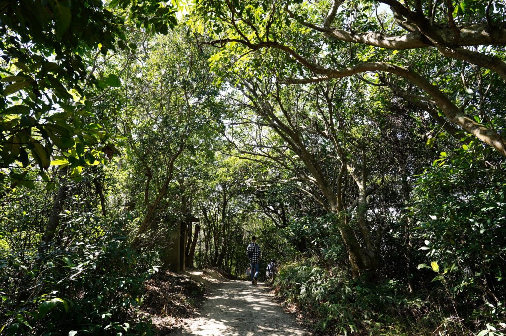 臺北 士林 劍潭山_2438801