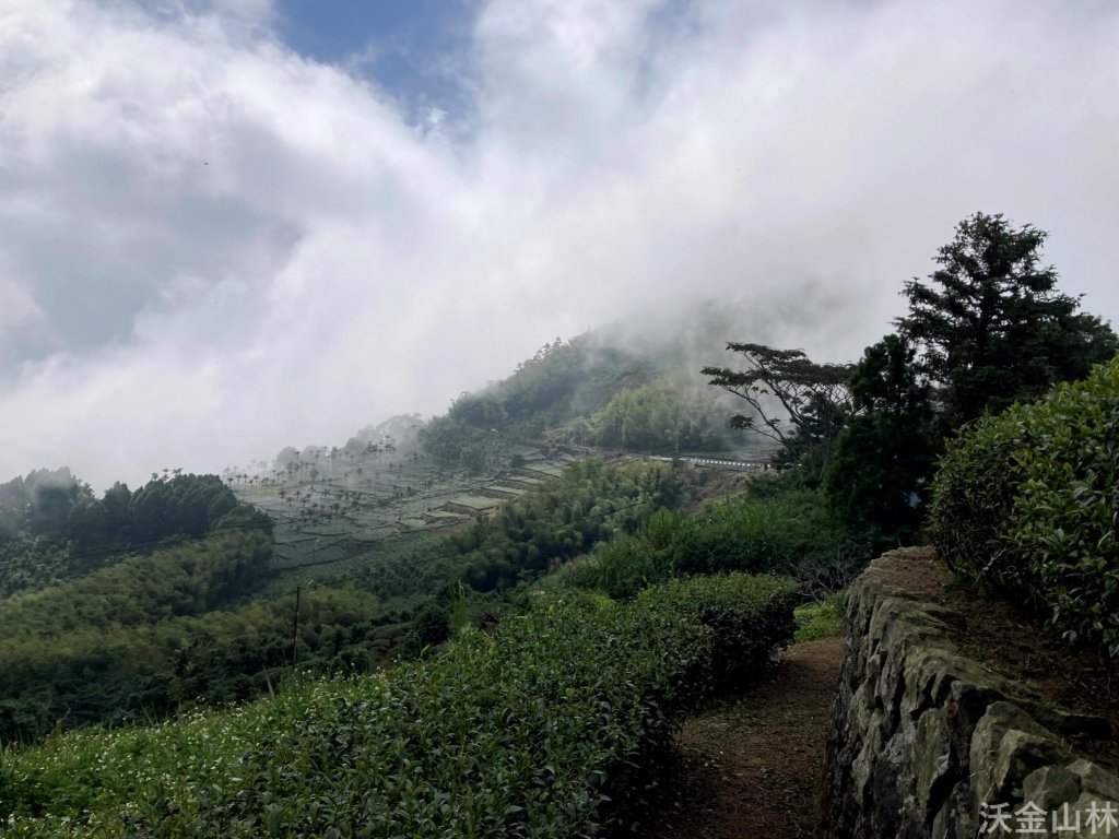 2024-10-19 雲嘉五連峰_2637383