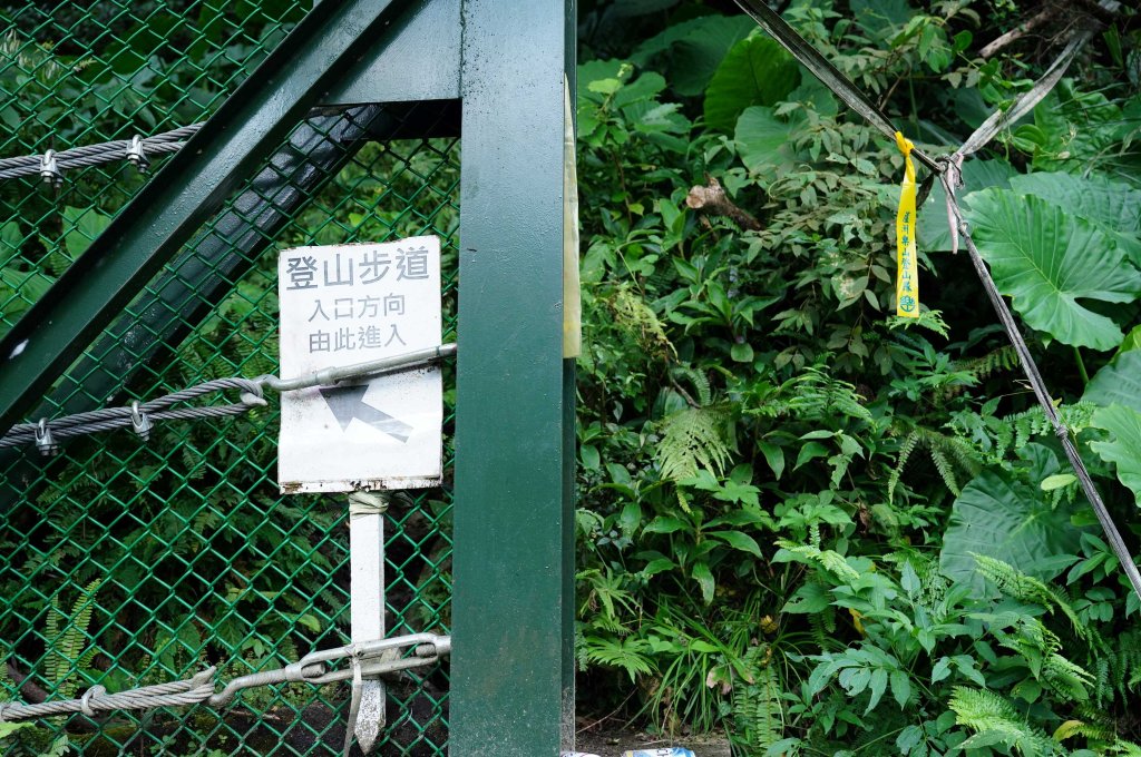 新北 烏來 烏來山、大桶山、四崁水山_2829226