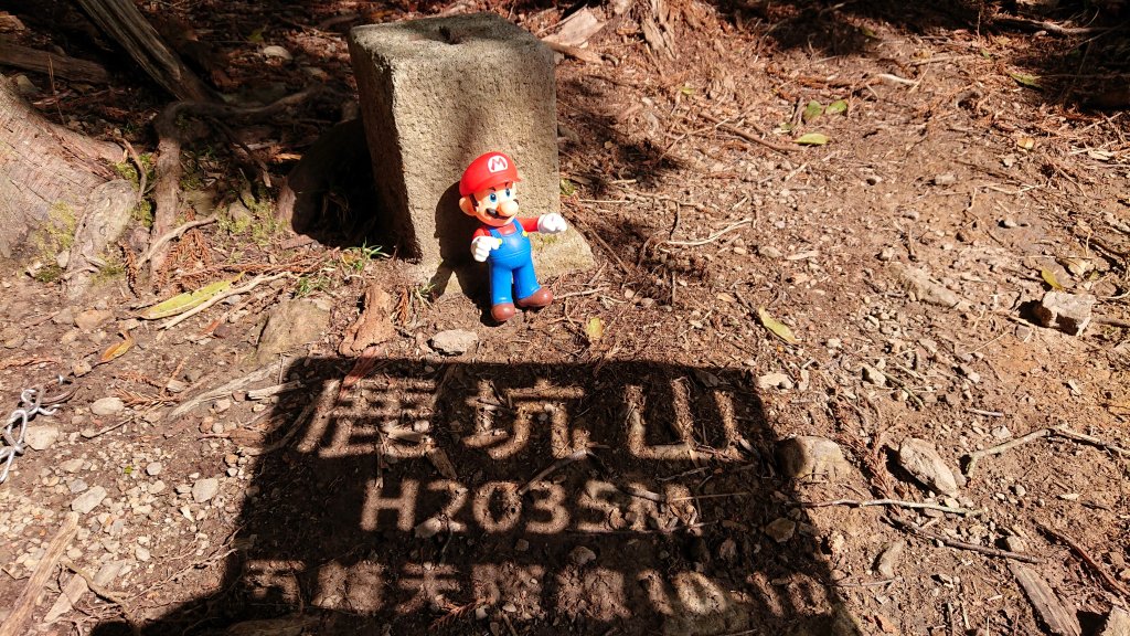 尋幽訪古遊走千年巨木和幻霧美森的樂山林道_2882327